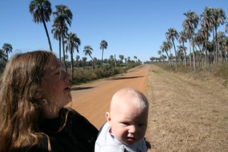 Talaja und Sivian im Palmenwald